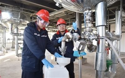 項目支撐 挺起石化及精細化工產業脊梁