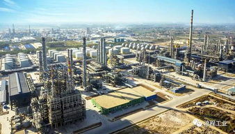 山東去年1487家化工企業(yè)因安全評級被關閉