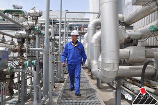 選專業(yè)的日子到了 你當時咋就選了化工