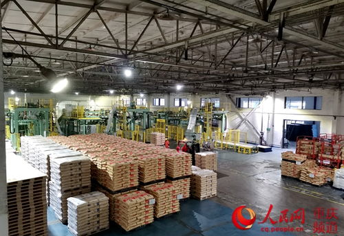 國內首套防塵防爆pva套膜線投入使用